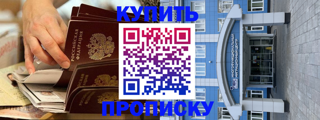 прописка гарантия в Белой Холунице